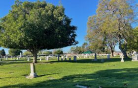 Greenwood Memorial Park